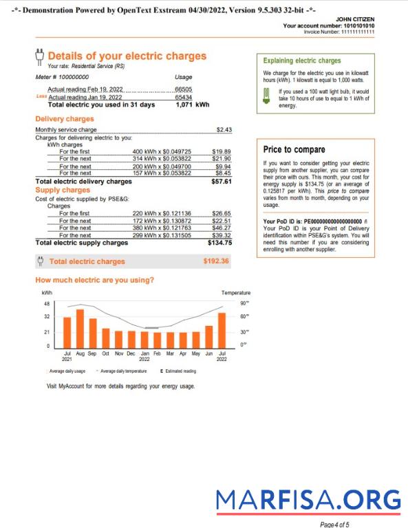Downloadable USA New York PSEG utility bill, Word and PDF template, 5 pages 4